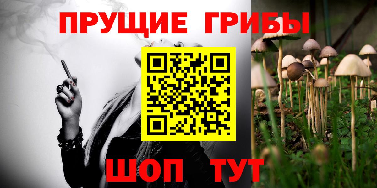 Галлюциногенные грибы Cubensis Отрадное